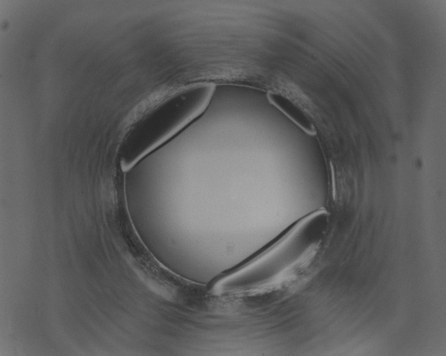 X0000073420252200608251557