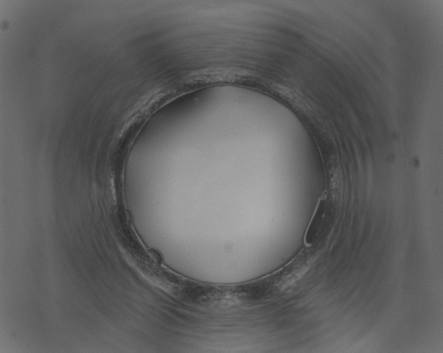 X0000073420254200608251557