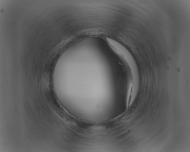 X0000073420255200608251557