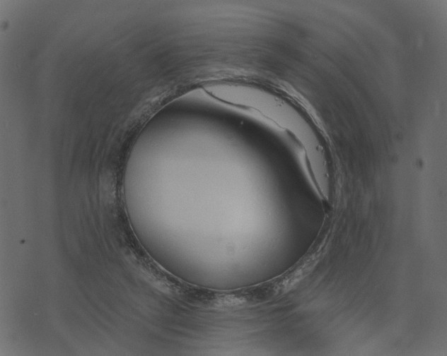 X0000073420257200608251557