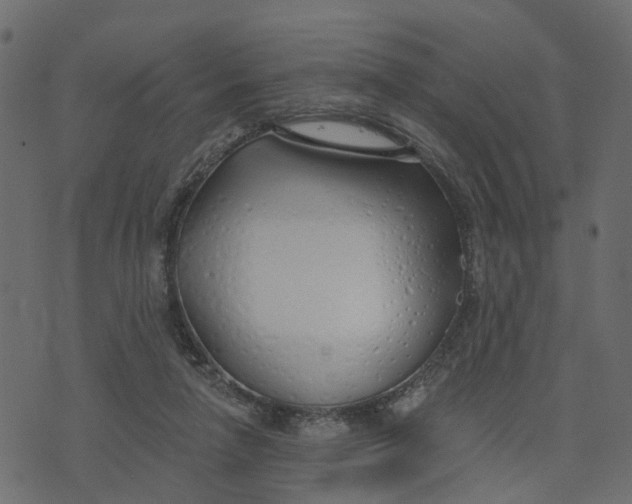 X0000073420258200608251557