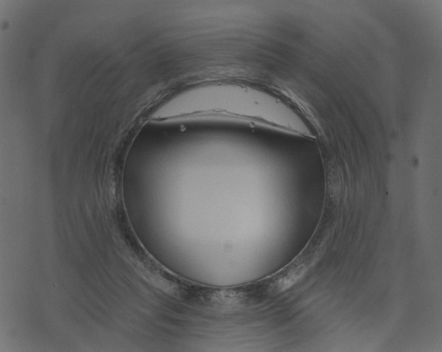 X0000073420261200608251557