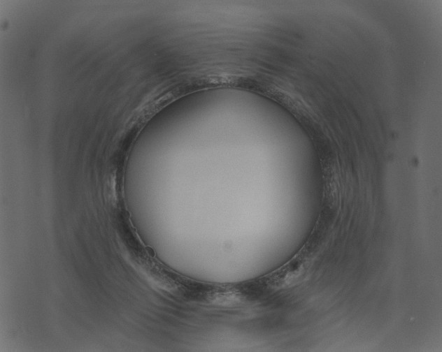 X0000073420262200608251557