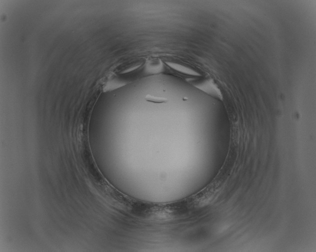 X0000073420263200608251557