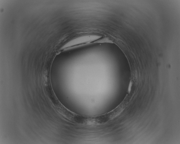 X0000073420264200608251557