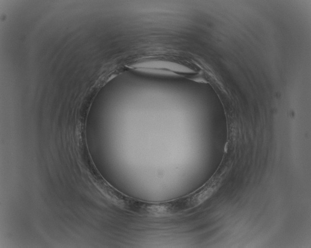 X0000073420265200608251557