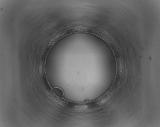 X0000073420266200608251557