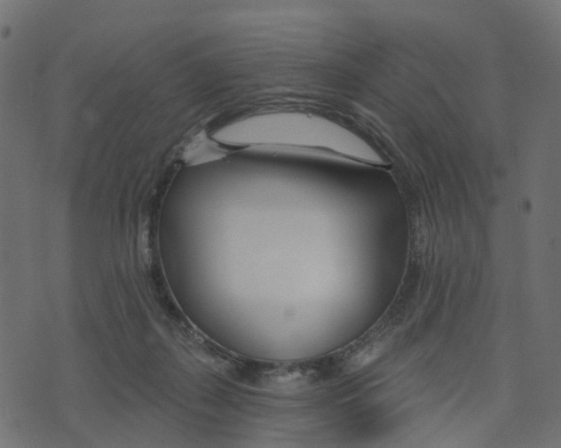 X0000073420267200608251557