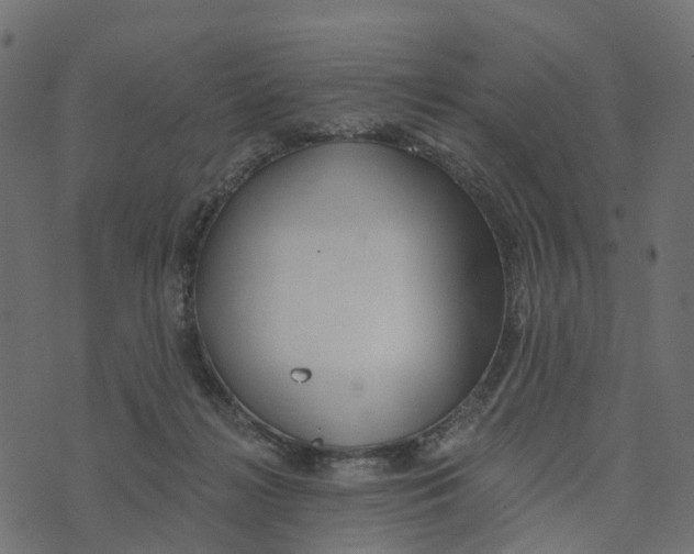 X0000073420268200608251557