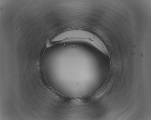 X0000073420269200608251557