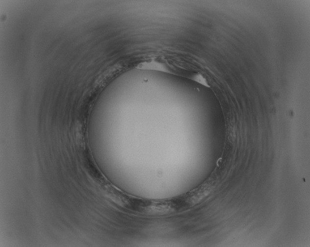 X0000073420270200608251557