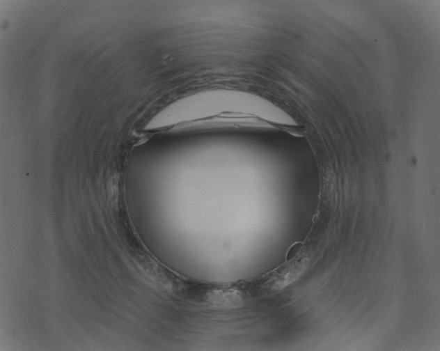 X0000073420271200608251557