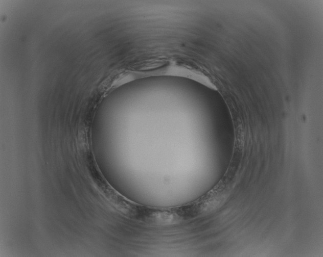 X0000073420272200608251557