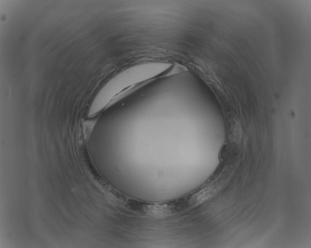 X0000073420273200608251557