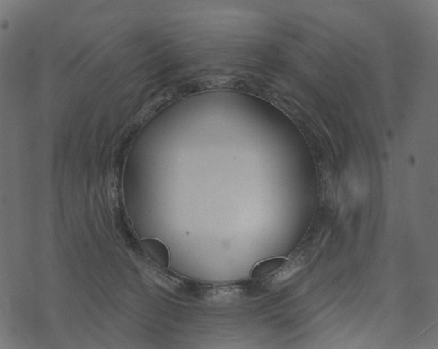 X0000073420274200608251557