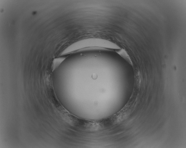 X0000073420276200608251558