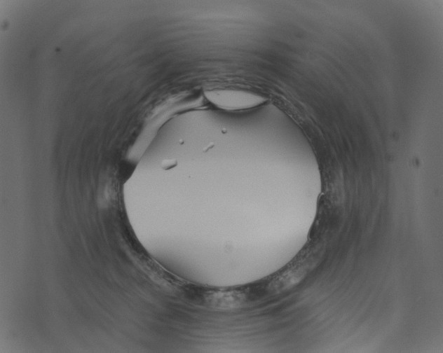 X0000073420277200608251558