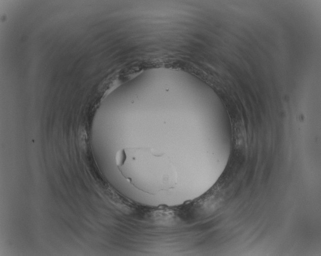 X0000073420279200608251558