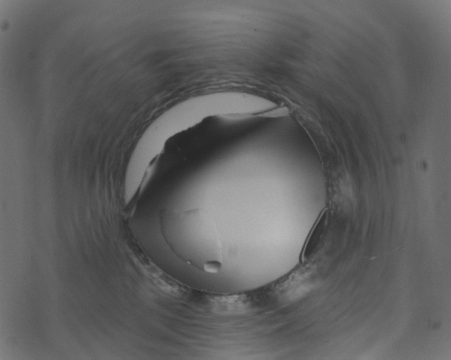 X0000073420281200608251558