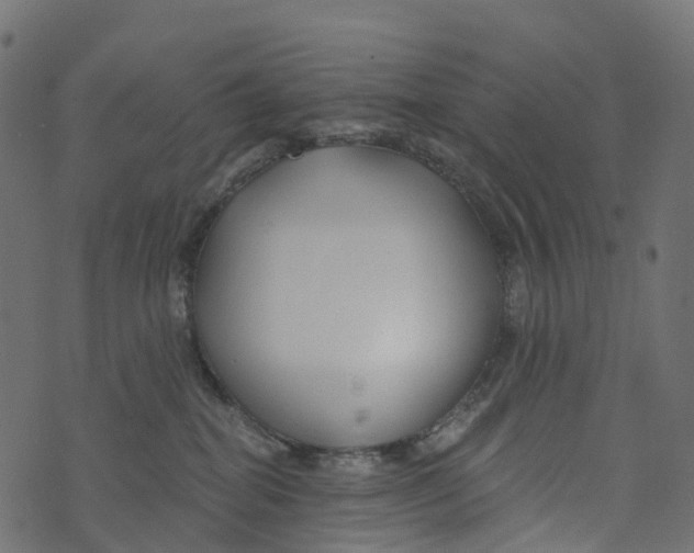 X0000073420282200608251558