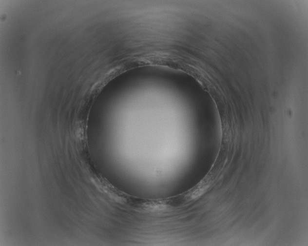 X0000073420284200608251558