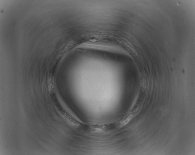 X0000073420285200608251558