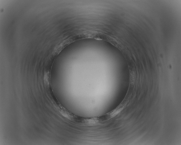 X0000073420286200608251558