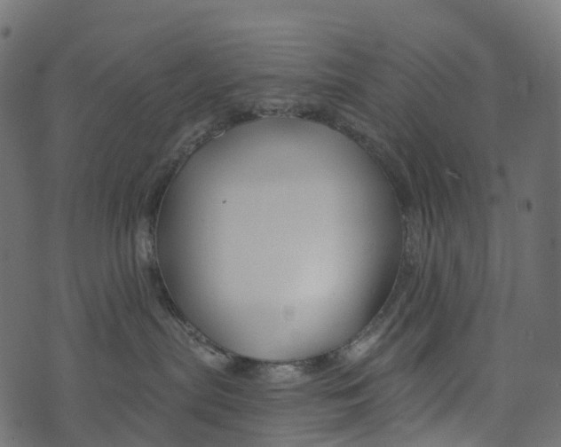 X0000073420287200608251558