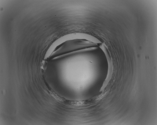 X0000073420288200608251558