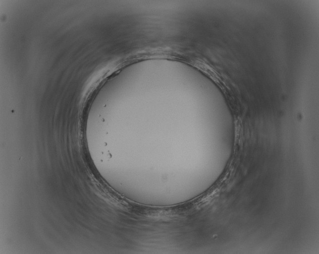 X0000073420293200608251557