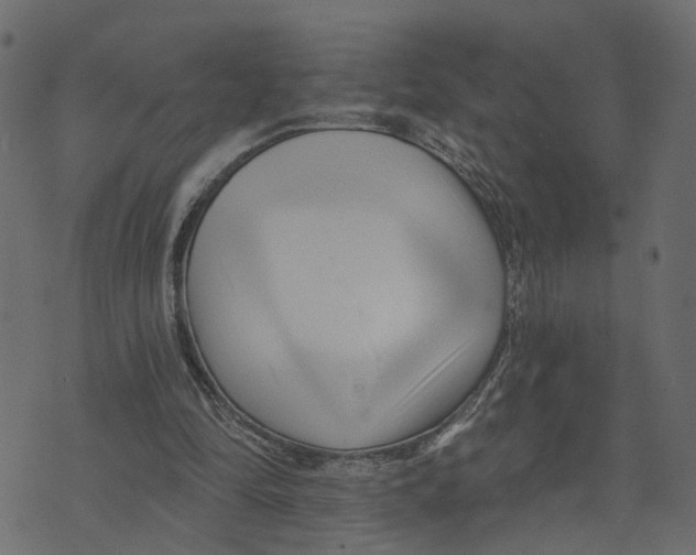 X0000073420294200608251557