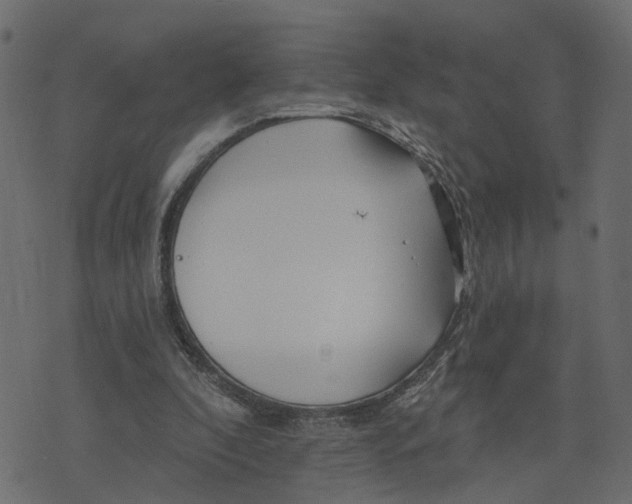 X0000073420296200608251557