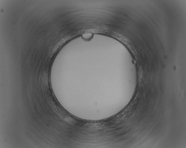 X0000073420297200608251557