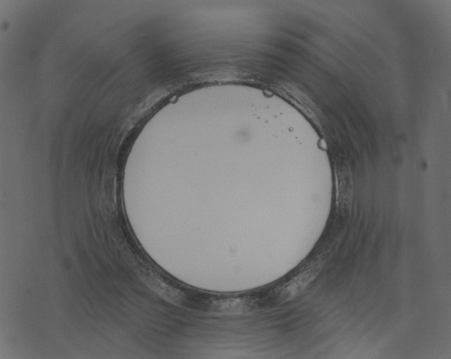 X0000073420301200608251557