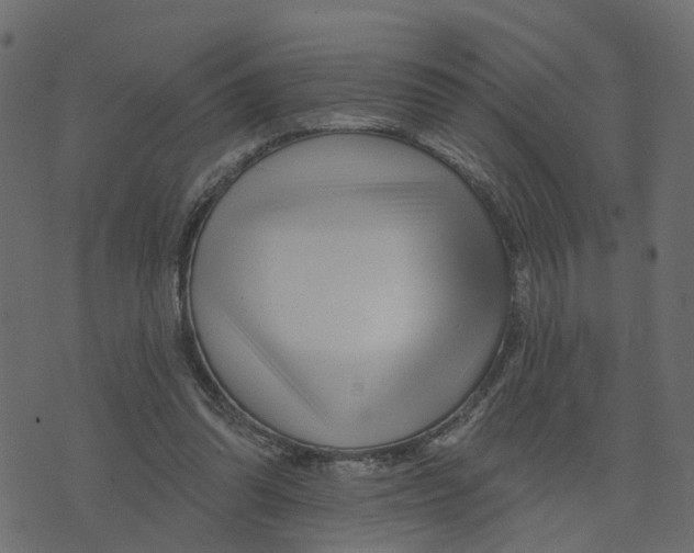 X0000073420302200608251557