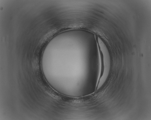 X0000073420303200608251557