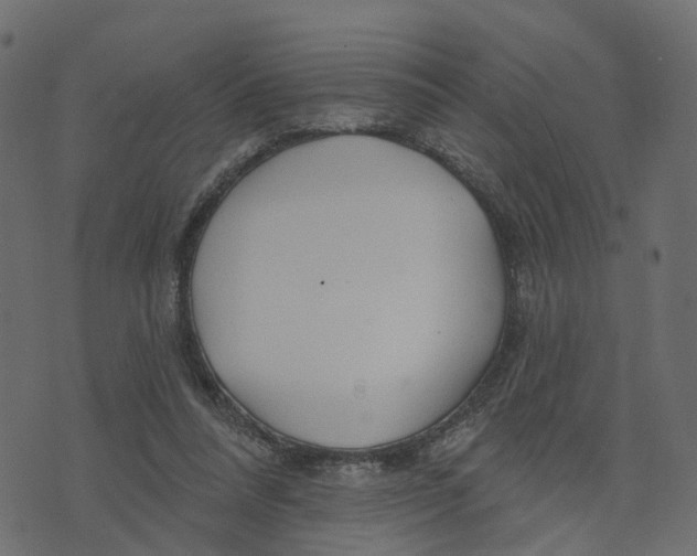 X0000073420304200608251557