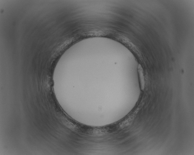 X0000073420305200608251557