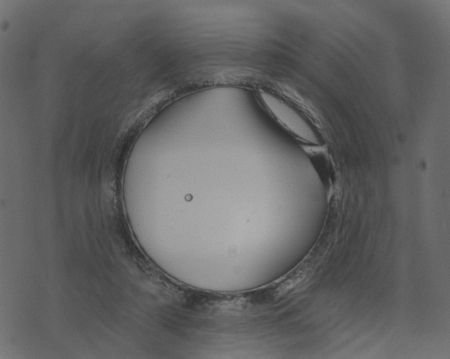 X0000073420306200608251557