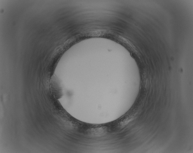 X0000073420307200608251557