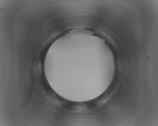 X0000073420308200608251557