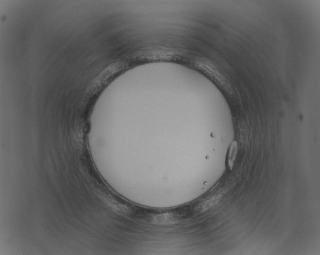 X0000073420309200608251557