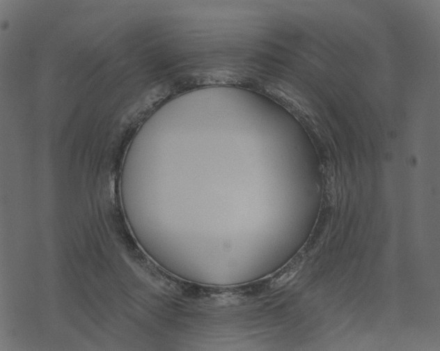 X0000073420310200608251557