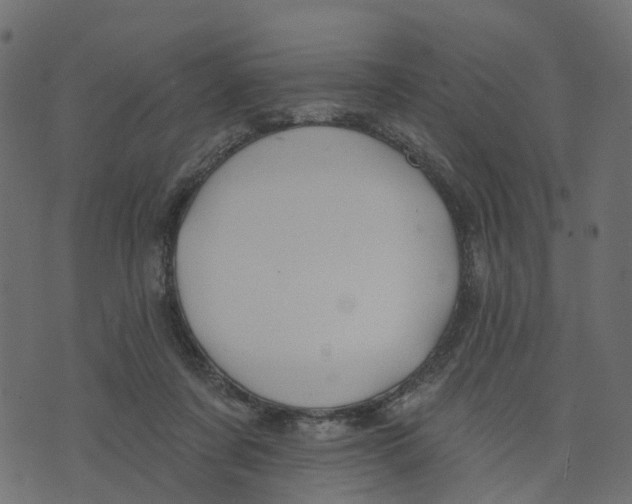 X0000073420311200608251557