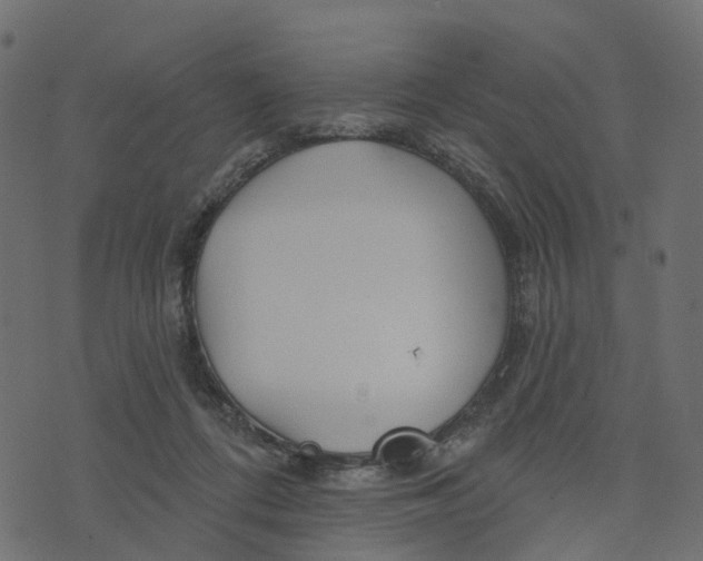 X0000073420312200608251557