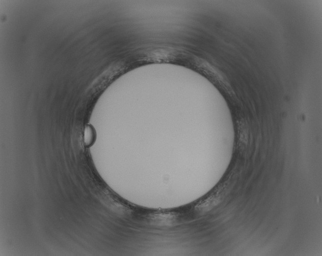 X0000073420313200608251557