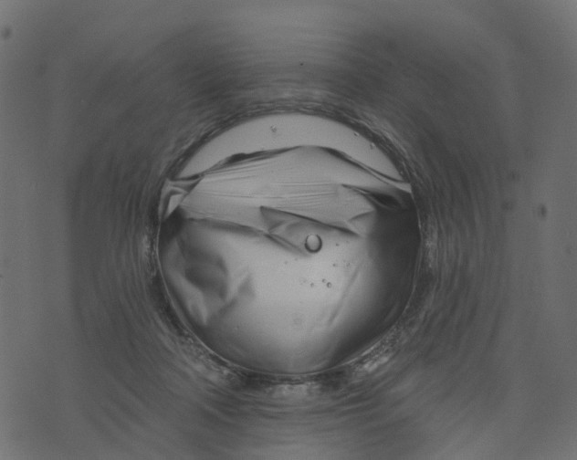 X0000073420314200608251557