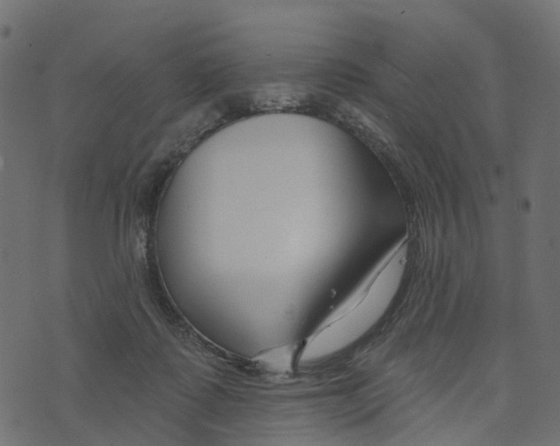 X0000073420315200608251557