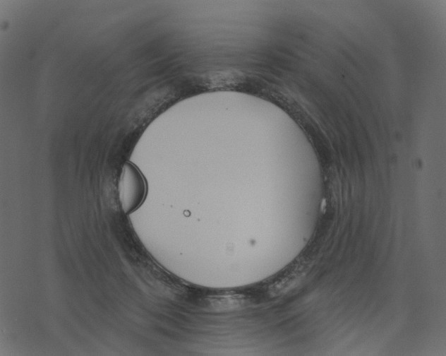 X0000073420316200608251556