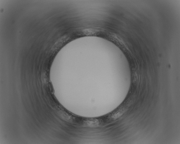 X0000073420317200608251556